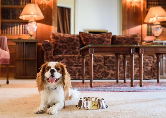 Szálloda Du Palais Biarritz, In The Unbound Collection By Hyatt Biarritz